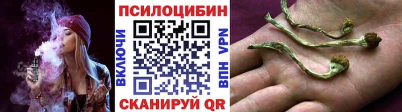 Галлюциногенные грибы Psilocybine cubensis  Ступино 