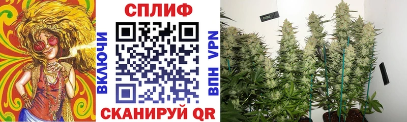 Марихуана Bruce Banner  даркнет сайт  Ступино 